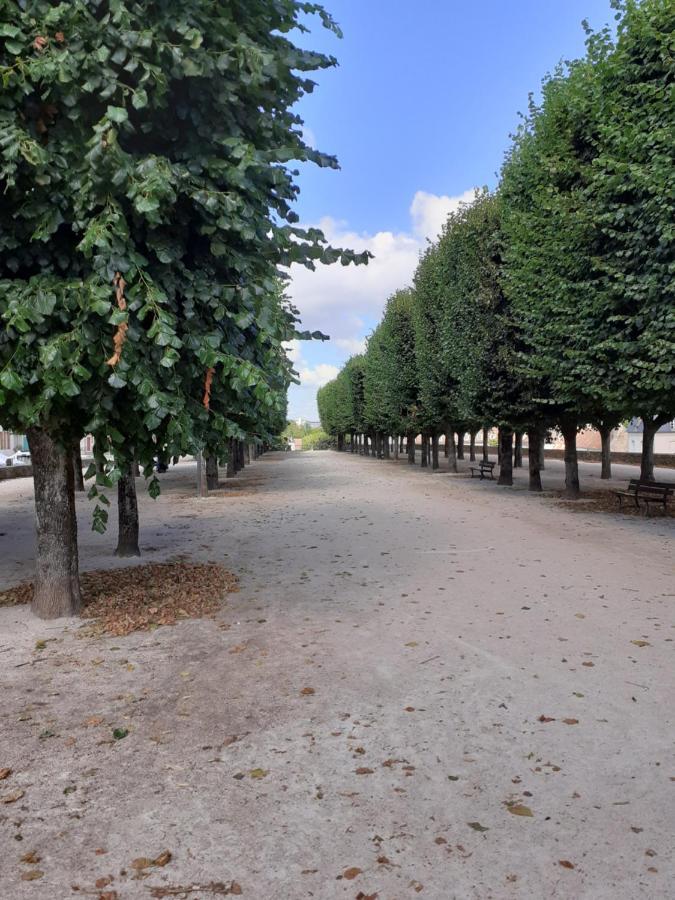 Appartement 48M2 Pour 6 Personnes Au Centre Ville Historique Avec Parking Gratuit Et Une Borne De Recharge Pour Voiture A 10 Metres Avallon Ngoại thất bức ảnh